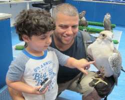 It cost you 170 AED per person while for children It cost you 170 AED per person while for children the ticket price is 60 AED to visit the hospital. It needs about one to two hours to make a tour of
